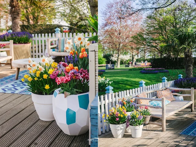 Widok na pola kwiatowe w okolicy Keukenhof