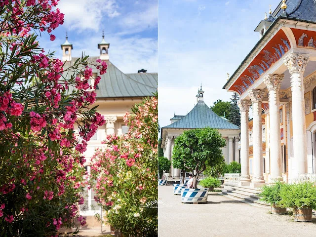 Egzotyczna roślinność w Szklanym Edenie