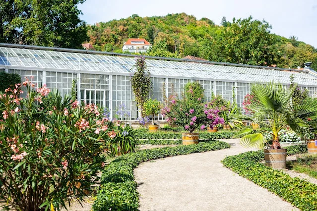 Widok na kompleks Pillnitz