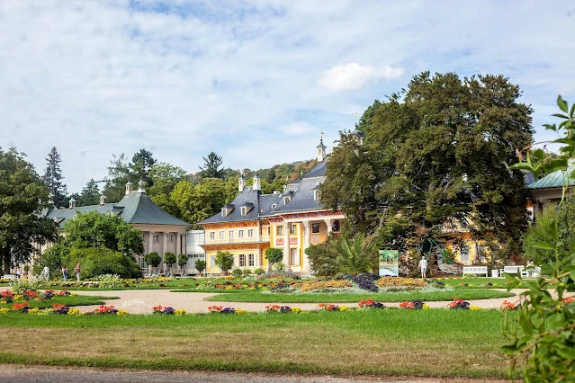 Kamelia i zabudowania parku