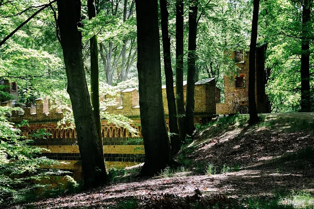 Widok na pałac i park