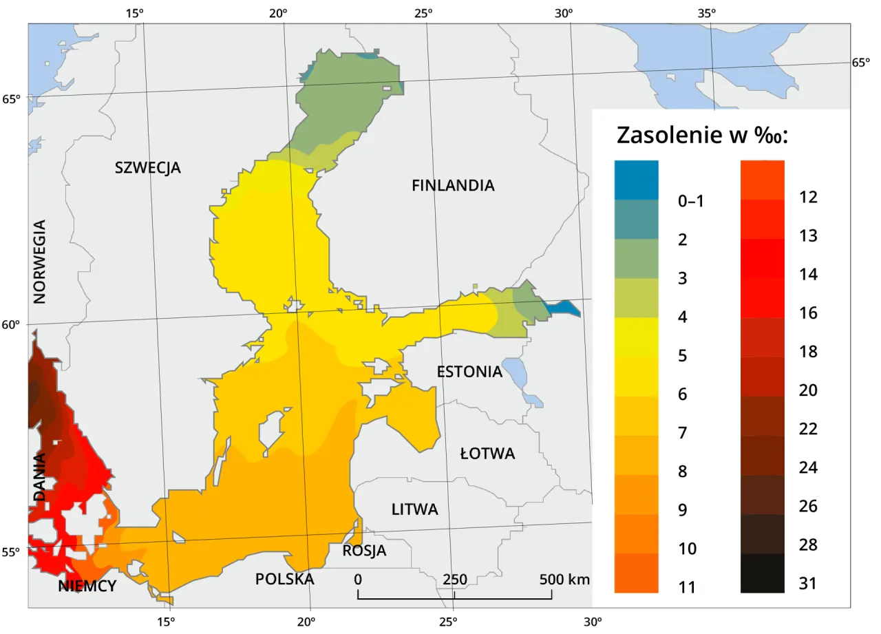 Czy Bałtyk jest słony? Poznaj zaskakujące fakty o jego zasoleniu