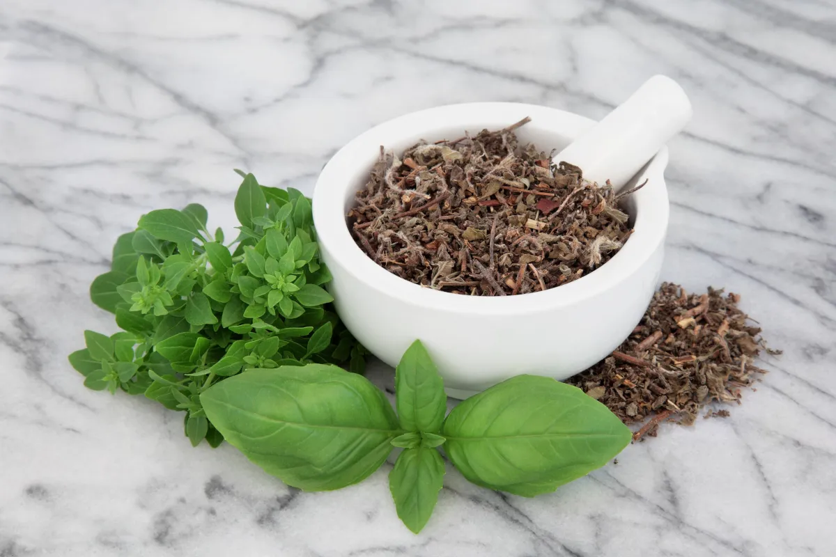 Jak suszyć bazylię w domu? Proste metody i sekret aromatu