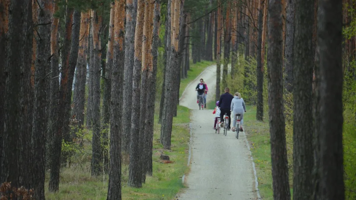 Najlepsze trasy rowerowe w Toruniu, które musisz poznać