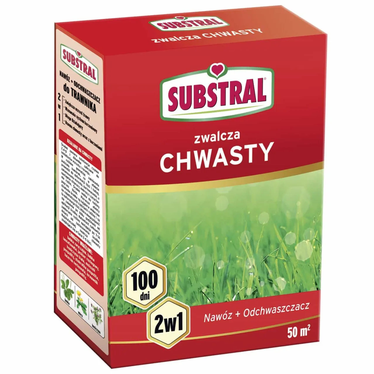 Jaki nawóz na drugą dawkę? Unikaj błędów i zwiększ plony rzepaku