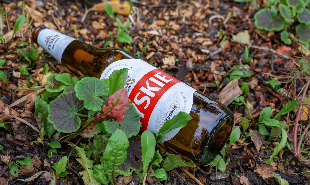 Dlaczego piwo pachnie skunksem? Wyjaśniamy, jak chronić trunek