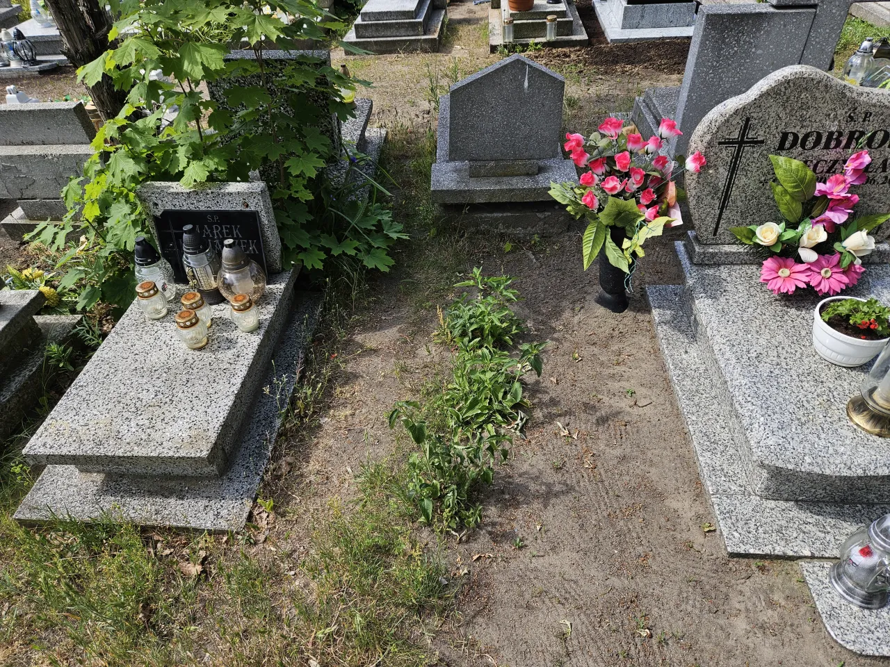 Grobonet Nowa Sól: Znajdź grób bliskiej osoby przewodnik