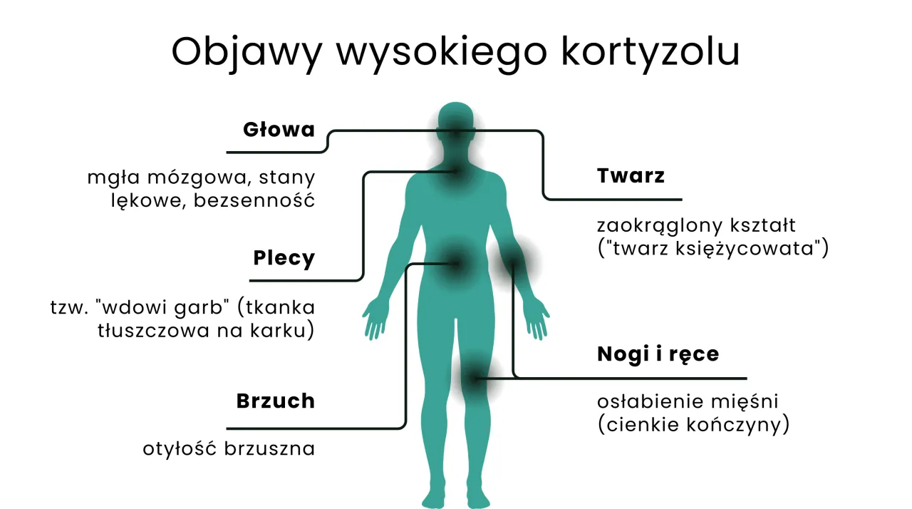 Zespół Cushinga - nadmiar kortyzolu? Objawy, leczenie, wsparcie