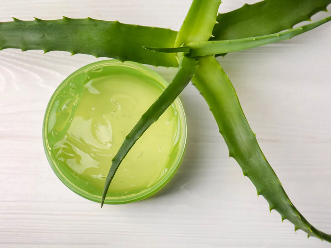 Aloes na dzisa: Ukojenie i regeneracja. Jak stosowa krok po kroku?