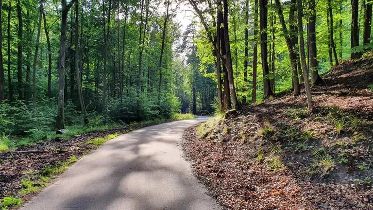 Najlepsze trasy rowerowe w Gdańsku – odkryj ukryte skarby miasta
