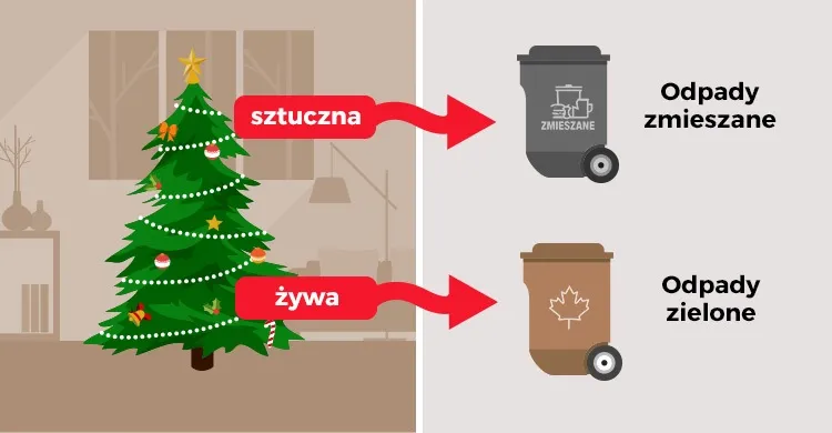 Gdzie wyrzucić choinkę po świętach, by pomóc środowisku i uniknąć problemów