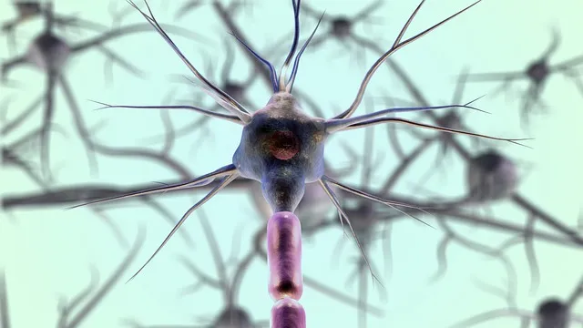 Neurolog od czego to lekarz i kiedy warto się do niego zgłosić Neurolog od czego to lekarz i kiedy warto się do niego zgłosić