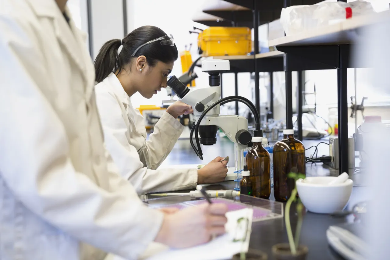 Ile zarabia pracownik laboratorium? Zaskakujące różnice w wynagrodzeniach Ile zarabia pracownik laboratorium? Zaskakujące różnice w wynagrodzeniach