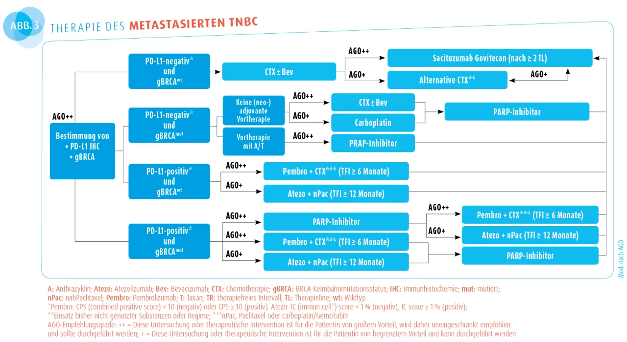 Triple-negativer Brustkrebs: Prognose, Verlauf & neue Chancen